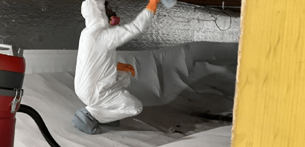 Call Rytech North Central FL When Mold Remediation is Required in Palm Coast,FL