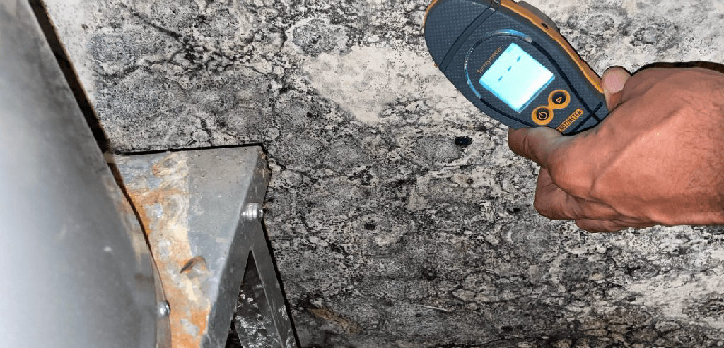Professional mold inspection after mold was found in a property on Palm Coast FL