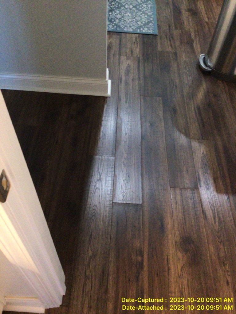 Recognizing the signs of water damage in your North Central FL home