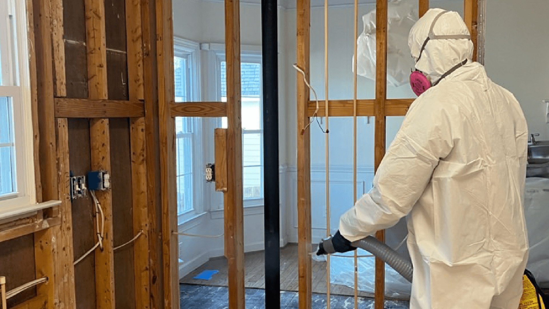 Best Mold Remediation Service in Palm Coast FL